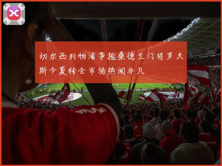 切尔西利物浦争抢桑德兰门将罗夫斯今夏转会市场热闹非凡