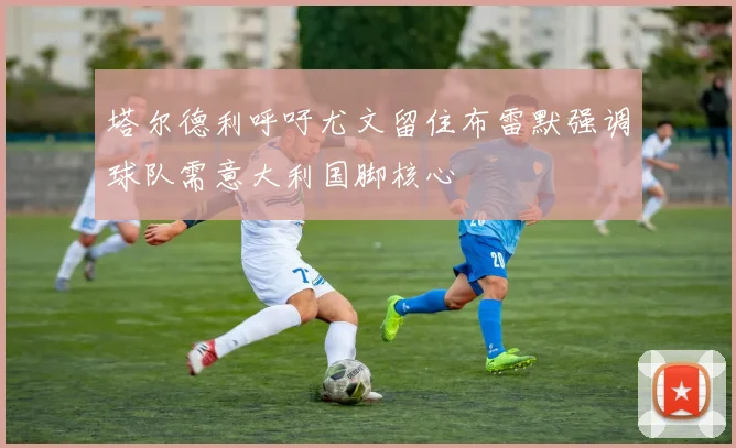 塔尔德利呼吁尤文留住布雷默强调球队需意大利国脚核心