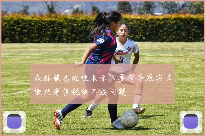 森林狼总经理表示只要有争冠实力缴纳奢侈税绝不成问题